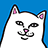 RIPNDIP